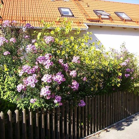 Wiflinger Graben Einfamilienhaus Villa Wörth Dış mekan fotoğraf