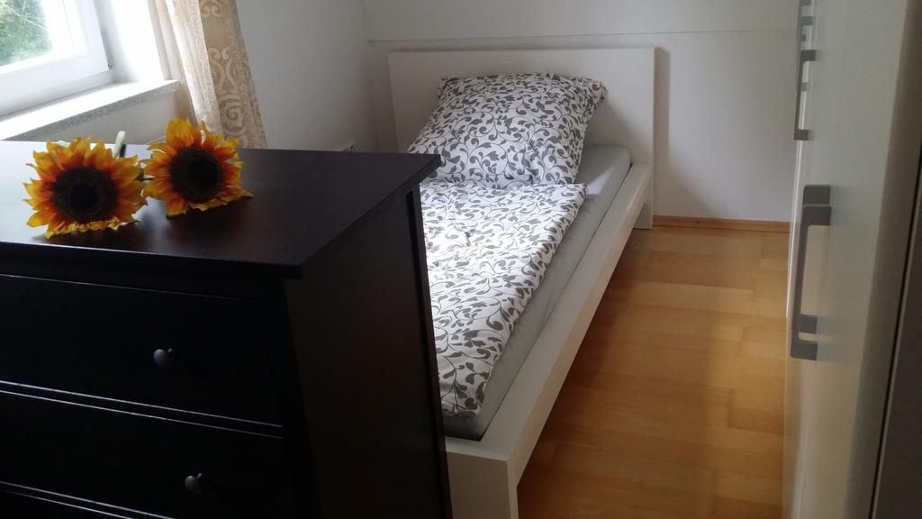Wiflinger Graben Einfamilienhaus Villa Wörth Dış mekan fotoğraf