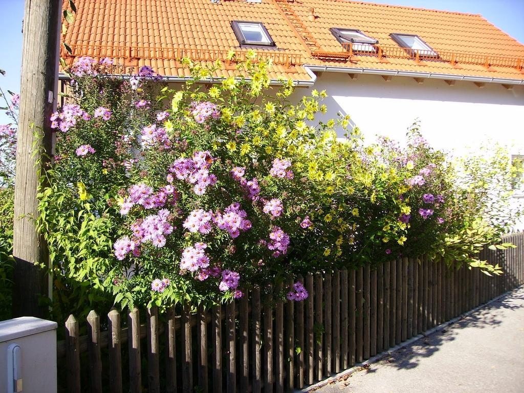 Wiflinger Graben Einfamilienhaus Villa Wörth Dış mekan fotoğraf