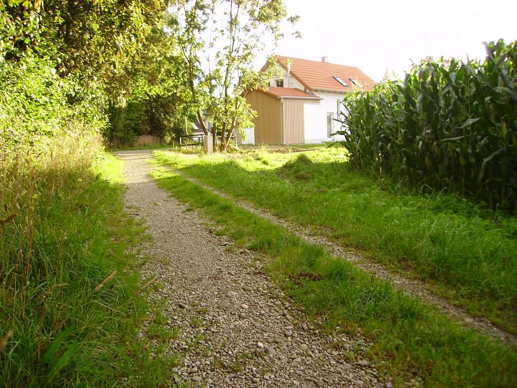 Wiflinger Graben Einfamilienhaus Villa Wörth Dış mekan fotoğraf